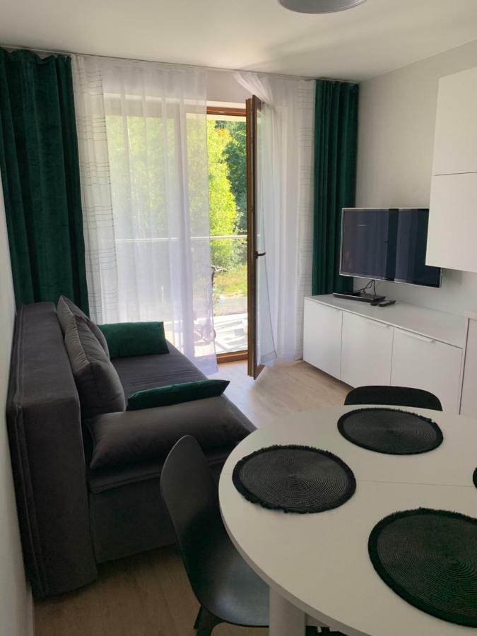 Apartament Skalisty カルパッチ エクステリア 写真